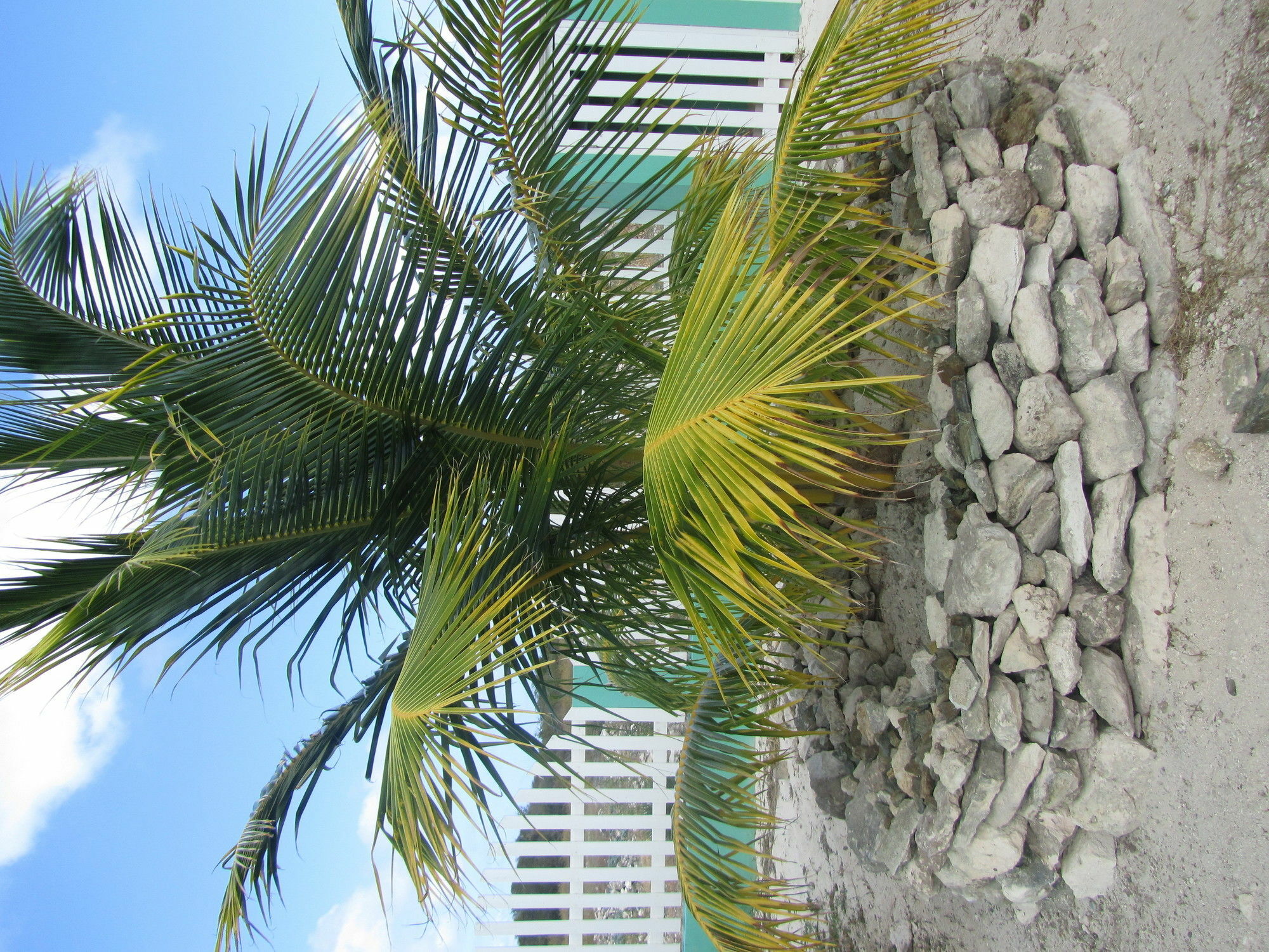 Sea Grape Villas The Settlement Exterior photo